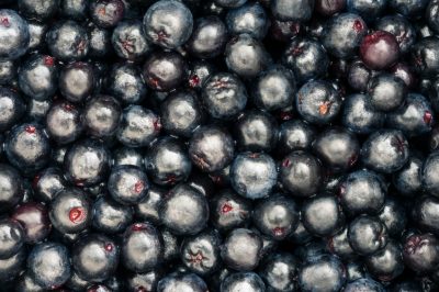 L'aronia ama una posizione soleggiata