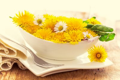 Quando fertilizzare il bambù?
