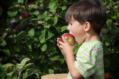 Lotta alla peronospora del pomodoro con una prevenzione efficace