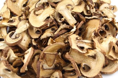 La stagione dei funghi