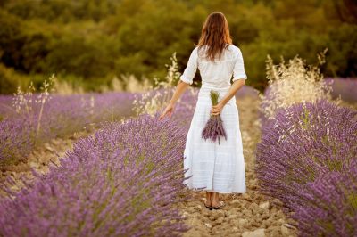 Lavanda autentica solo condizionatamente resistente