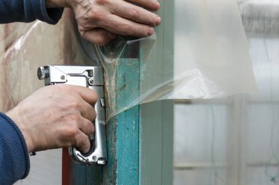 Quali sono le differenze tra le fragole perenni?