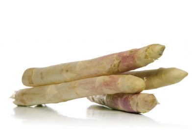 Le mosche: I bellissimi insetti benefici