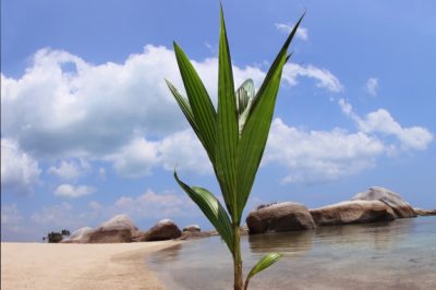 L'irrigazione del prato con l'impianto di irrigazione Gardena