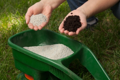 Quando vale la pena applicare la calce da giardino?