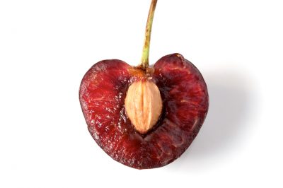 L'innesto della nocciola: Benefici e procedura