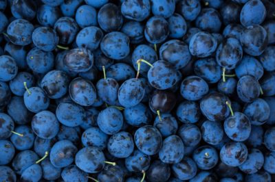 Le bacche di sambuco - frutto degli estremi - così incredibilmente versatile