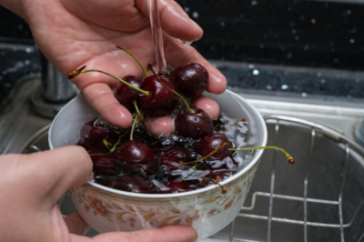 Quali malattie attaccano il ciliegio ornamentale giapponese?