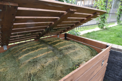 Ecco come la fanciulla del campo diffonde il fascino pittoresco nel giardino di campagna