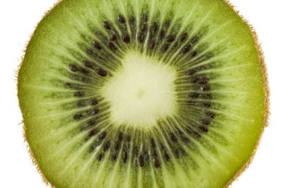 Quanto sono resistenti i kiwi?