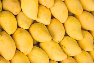 La bietola per il giardino: decorativa e ricca di vitamine