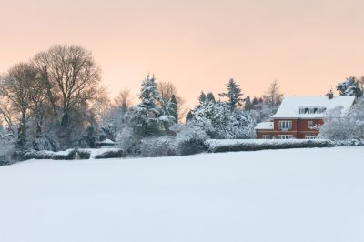 Attenzione al freddo: l'oleandro non tollera le temperature sotto lo zero