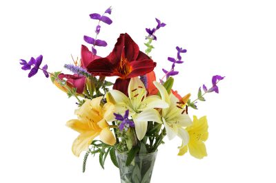 L'albero delle orchidee è resistente?