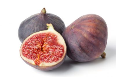 L'origano perenne è un ospite permanente nell'aiuola