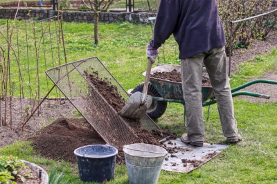 È necessario annaffiare l'erba di pampa regolarmente