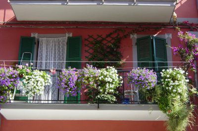 Rafforzare il balcone con le petunie