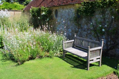 La posizione perfetta per il phlox cushion