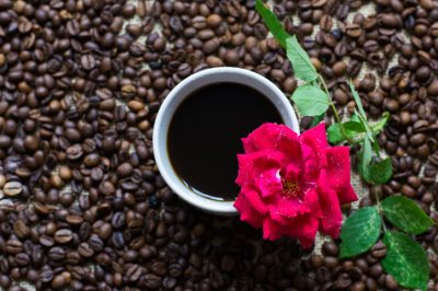 Fertilizzare le rose in modo ecologico con fondi di caffè e tè nero