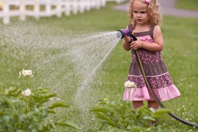 La confusione dell'achillea con piante dall'aspetto simile: pericoloso!
