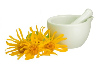 Qual è la posizione migliore per un cespuglio di farfalle?
