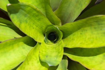 Quali fiori estivi non dovrebbero mancare nel vostro prato appena piantato