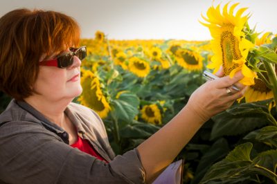 La struttura di un girasole