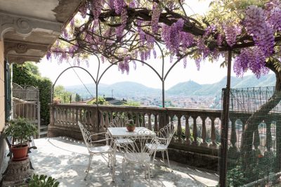 Quando fiorisce il coneflower?