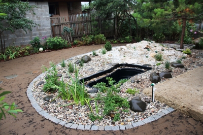 Erbe mediterranee per il giardino roccioso