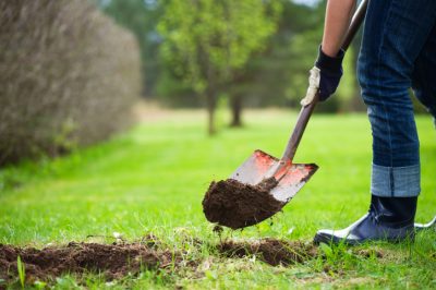 La giusta cura in un giardino roccioso