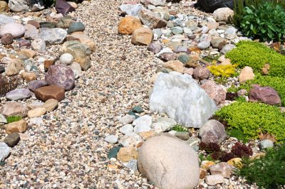 Varie idee per il bordo del giardino roccioso