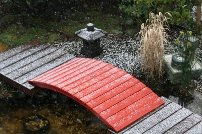 Filtri per laghetti in inverno: cosa bisogna fare