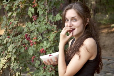 Le ortensie da piatto sono generalmente resistenti