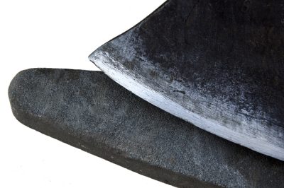 Quando si può rimettere all'aperto l'anemone di legno?