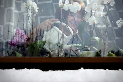 Le viti prosperano anche sul balcone - Come fare