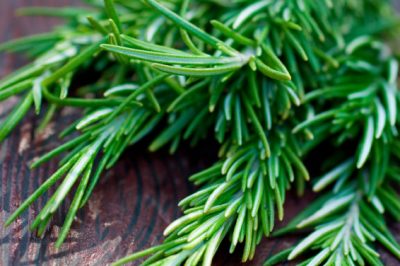 Melanzane all'acqua o al sale? per la preparazione