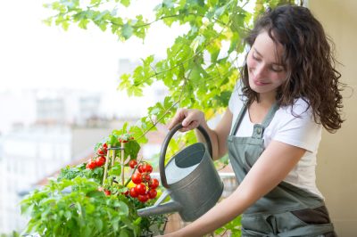 6 consigli pratici per coltivare un orto da balcone
