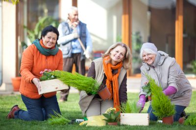 Le migliori idee per il giardino da balcone