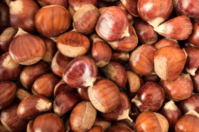 Quali piante sono adatte al balcone? - specie di piante da balcone popolari