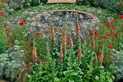 Giardini agricoli: belle idee