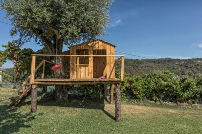 Come ancorare un tronco d'albero nel terreno