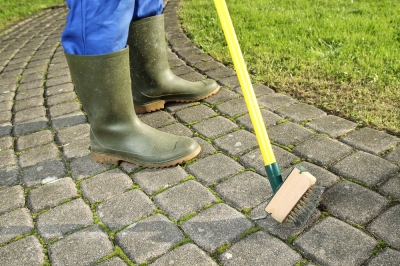 Fertilizzare bene la tua aiuola - Come far fiorire le tue piante perenni