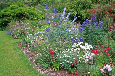 Come creare un pittoresco giardino fiorito e un piano di semina