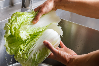 Lavare la cicoria e prepararla per il consumo