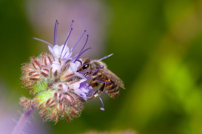 Quali camini sono adatti a balconi e terrazze?