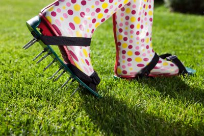 Letto precoce in giardino - Cosa ci va dentro?
