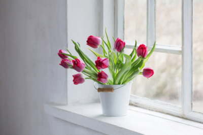 Fiore di primavera per il vaso