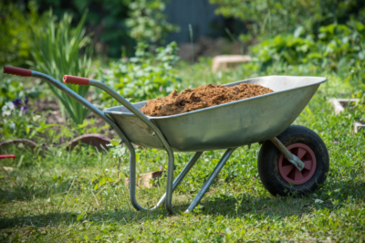 Gustoso sottaceto di cipolle primaverili