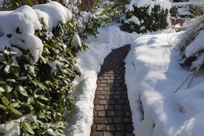 Prendersi cura del giardino in inverno per il giardinaggio invernale