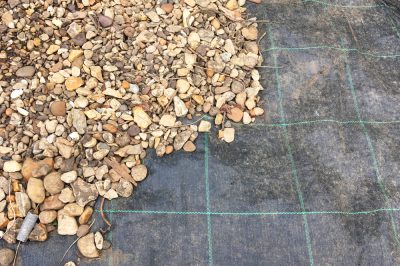 Quanto veleno si nasconde nello splendido fiore di canna?