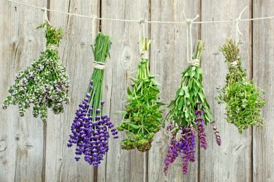 Questi quattro modi per conservare le verdure